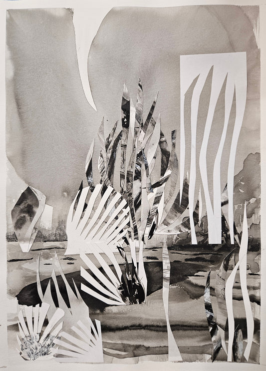 Monika Stolarska - Szuwary