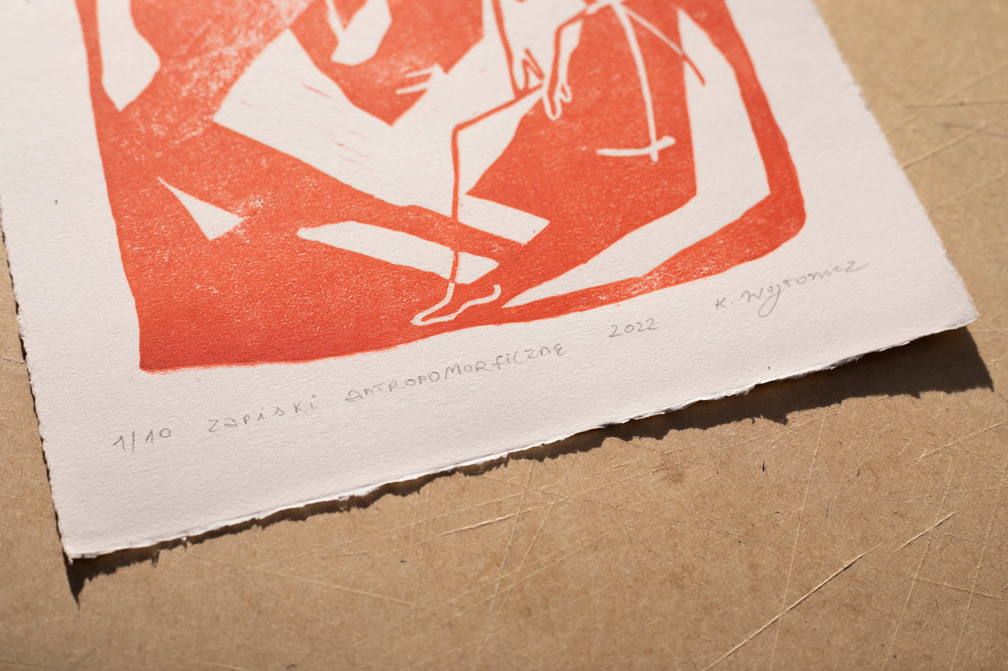 Katarzyna Wójtowicz - Bez tytułu, Cykl Zapiski antropomorifczne