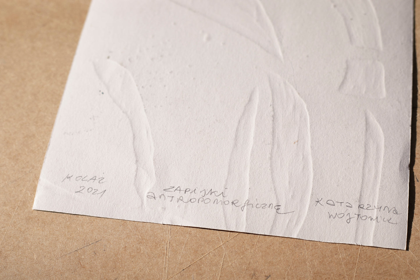 Katarzyna Wójtowicz - Bez tytułu, Cykl Zapiski antropomorifczne