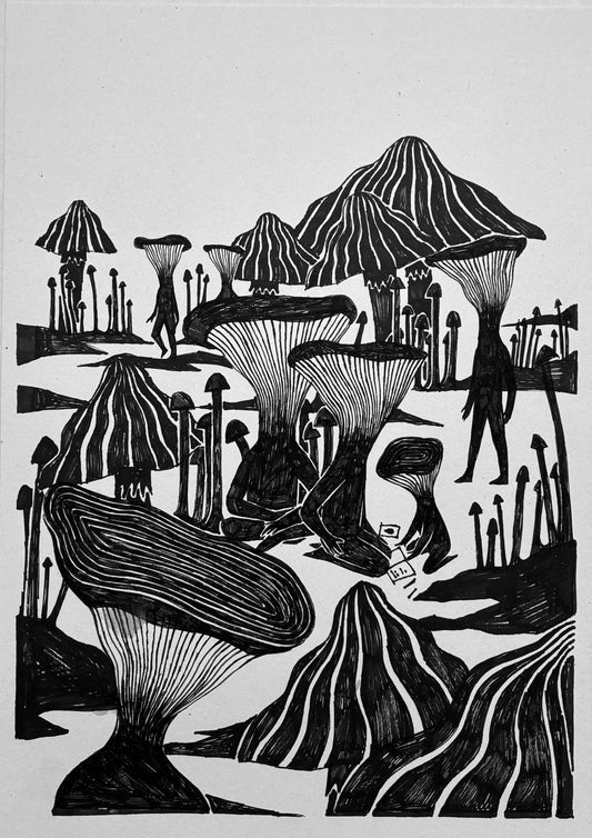 Karolina Lubaszko - Grzyby do szkoły