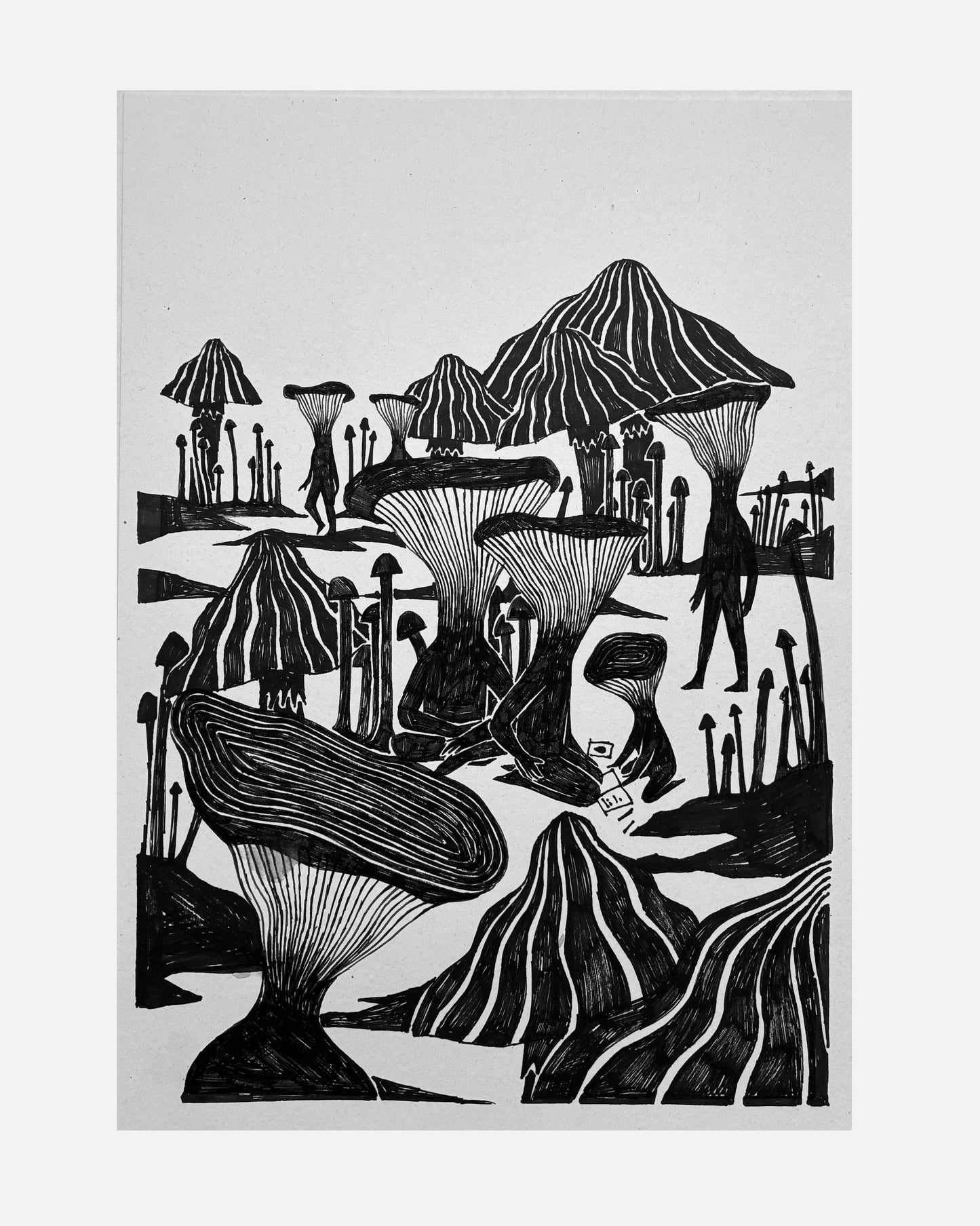 Karolina Lubaszko - Grzyby do szkoły