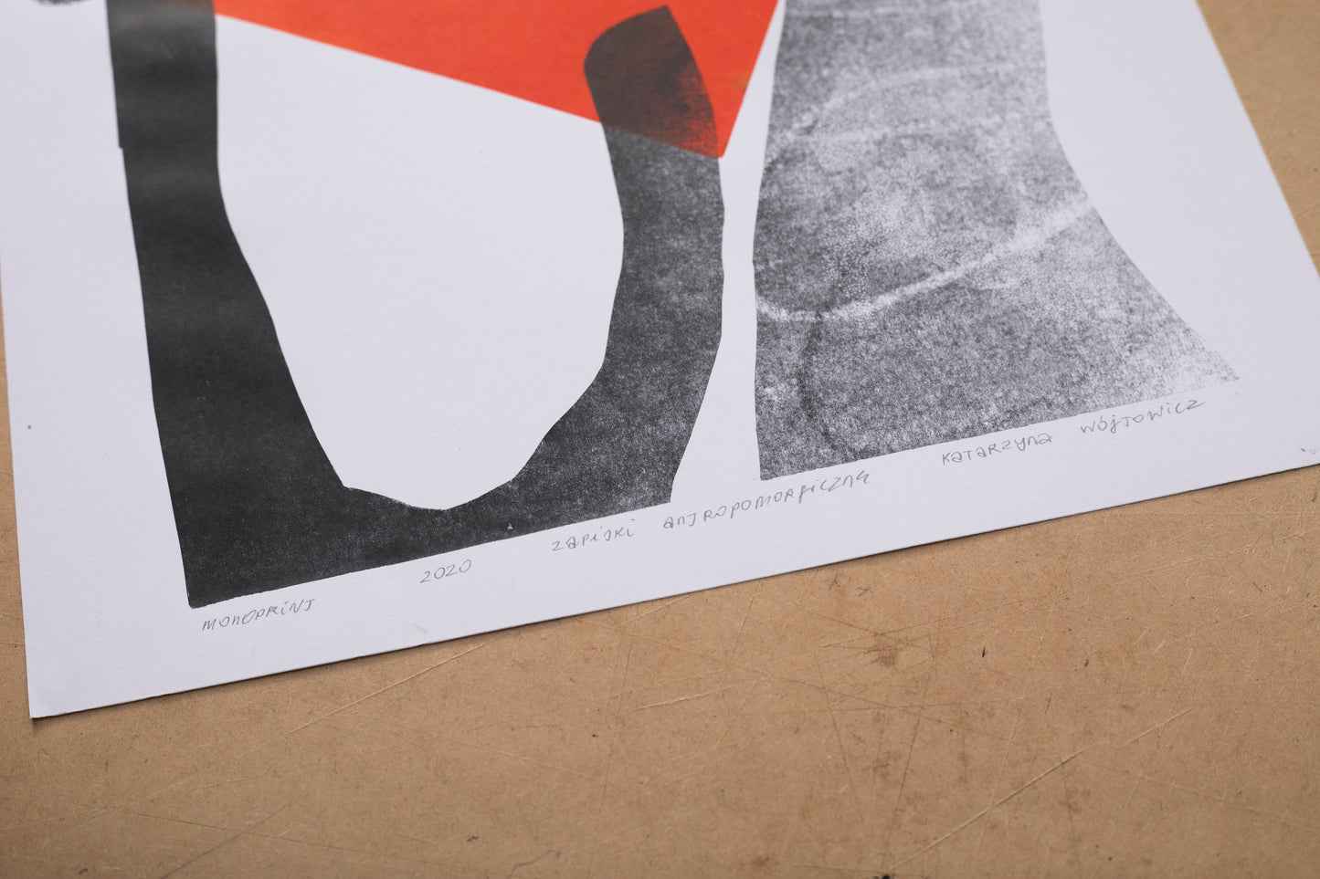 Katarzyna Wójtowicz - Bez tytułu, Cykl zapiski antropomorifczne