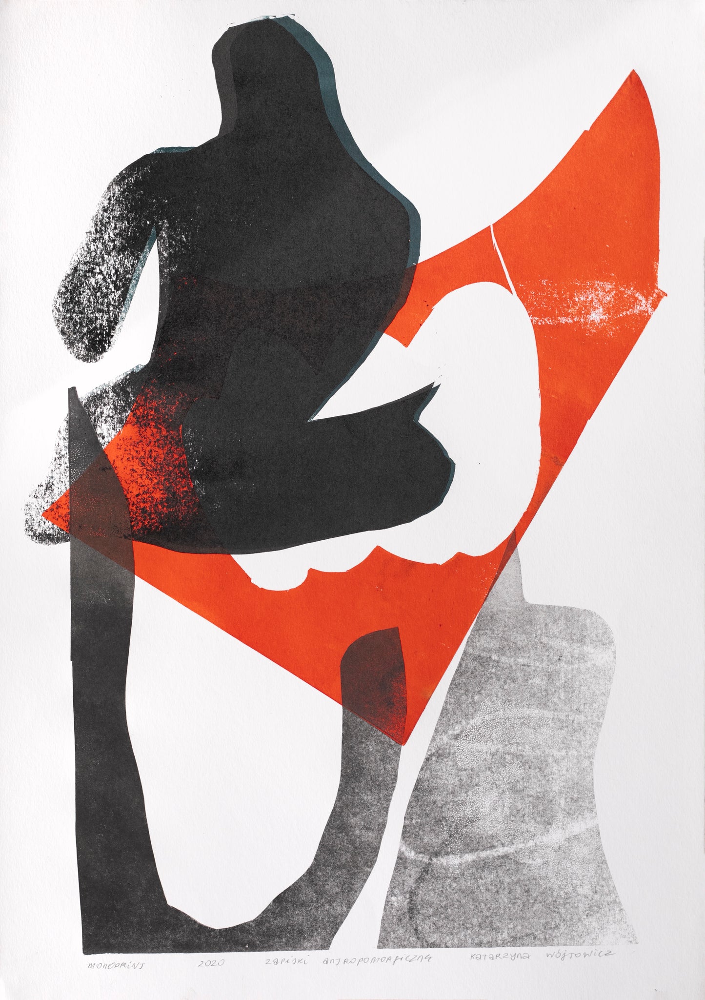 Katarzyna Wójtowicz - Bez tytułu, Cykl zapiski antropomorifczne