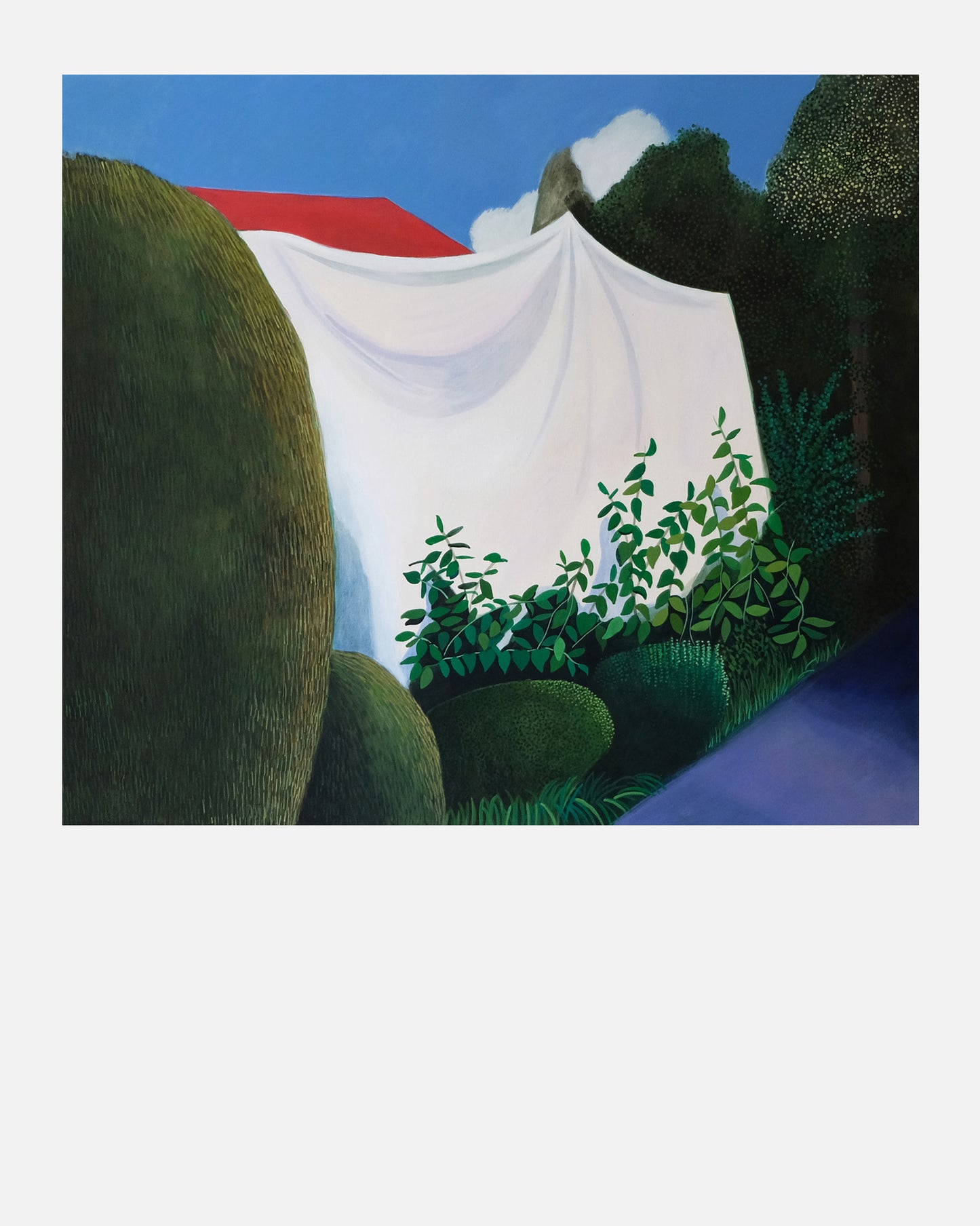 Olga Szczechowska - 5