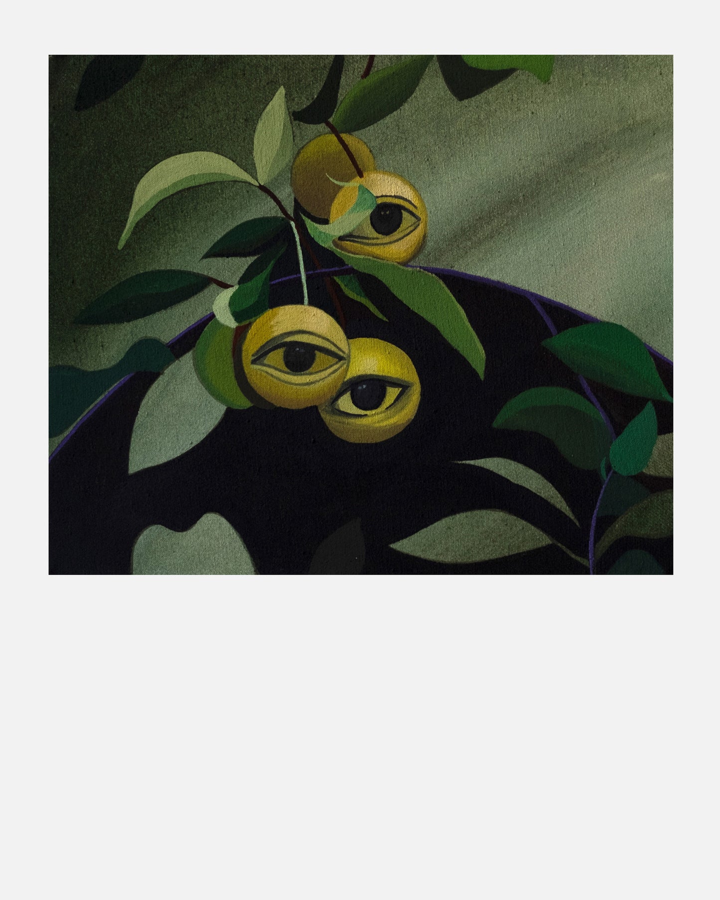 Olga Szczechowska - Mirabelka z Muranowa