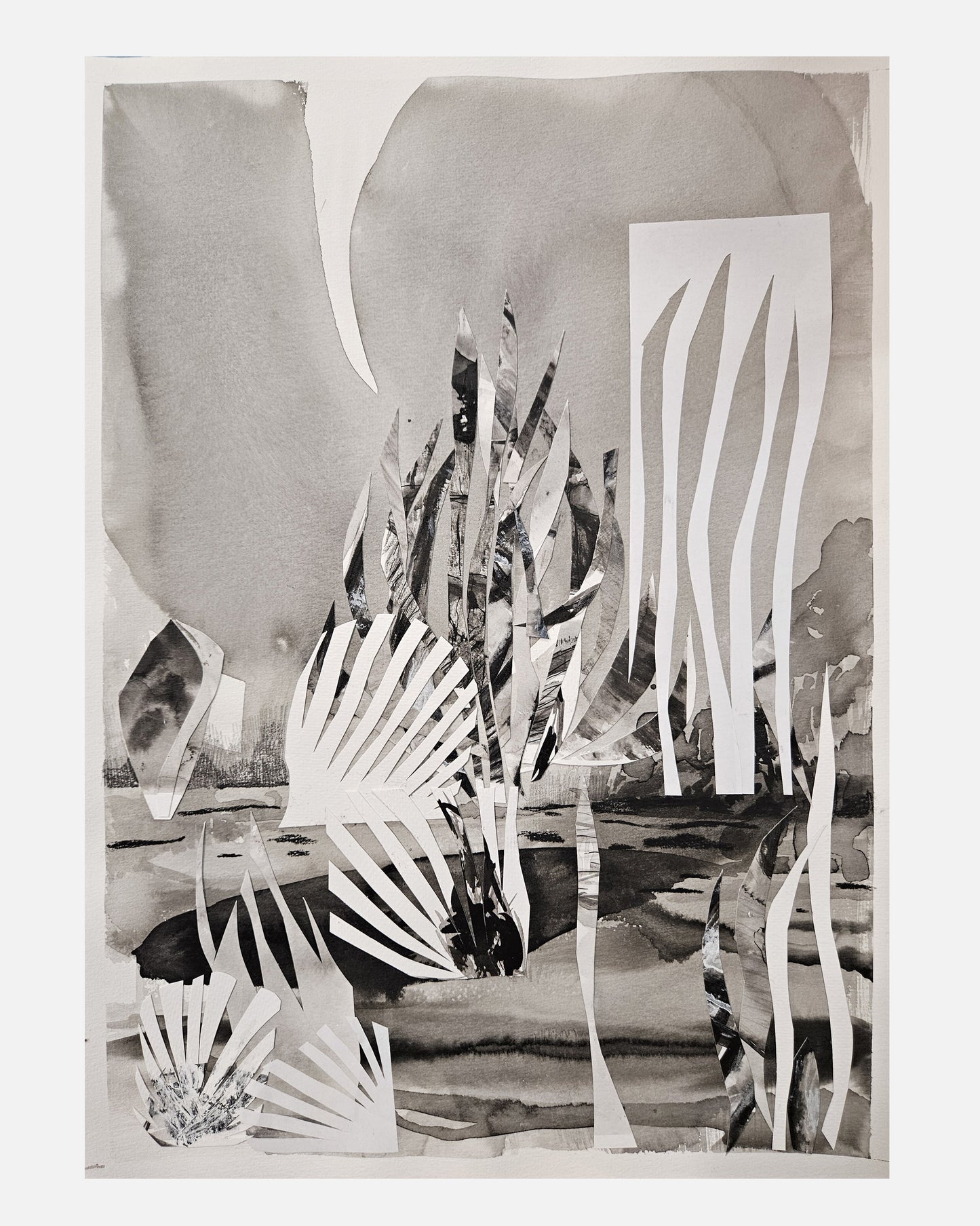 Monika Stolarska - Szuwary