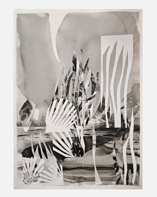 Monika Stolarska - Szuwary