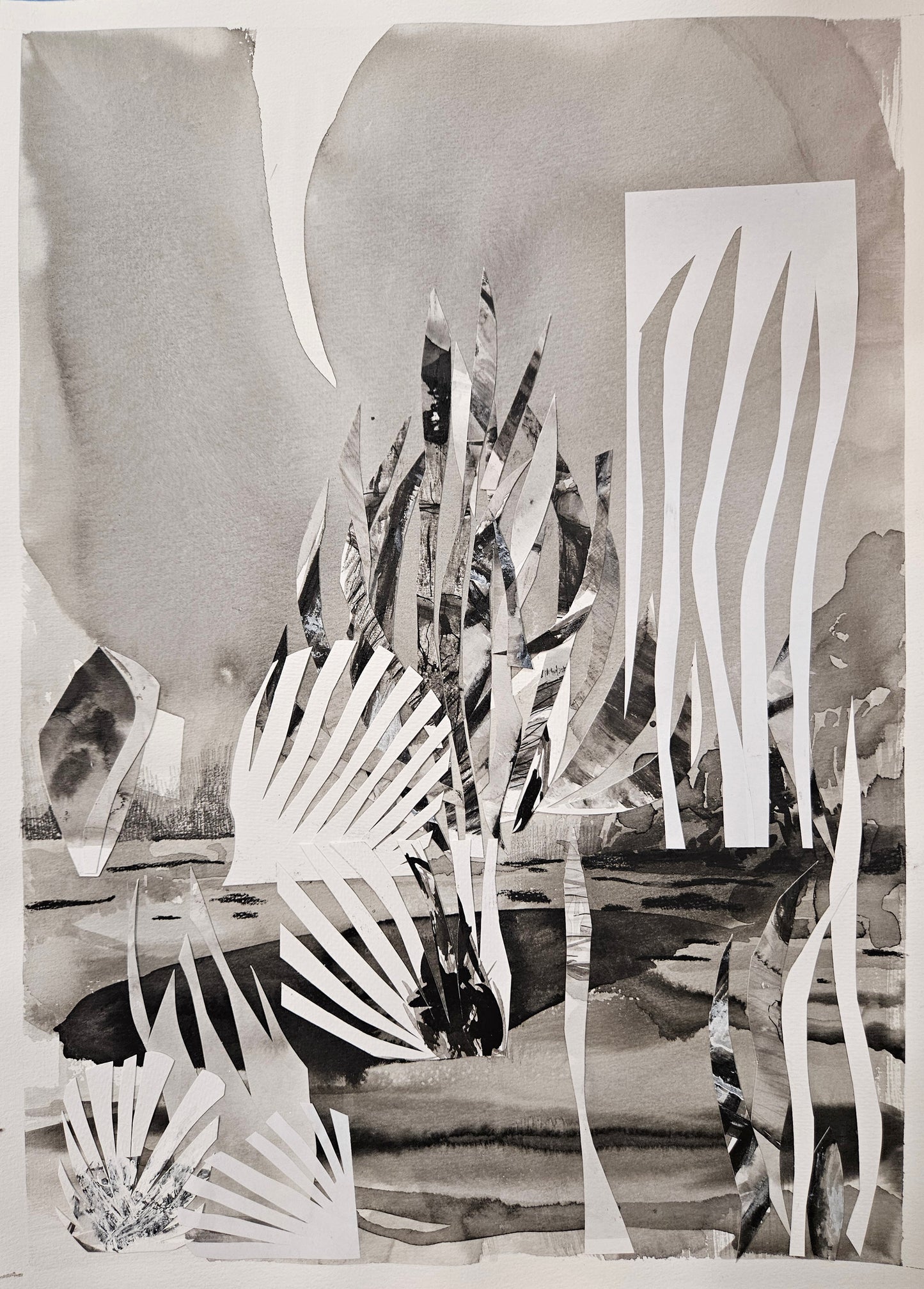 Monika Stolarska - Szuwary