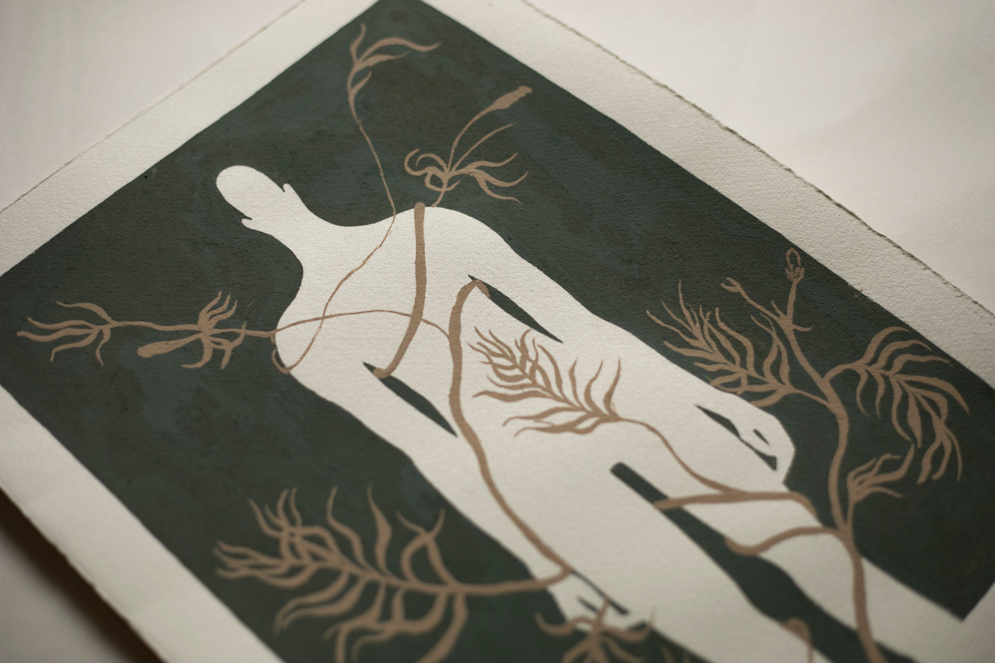 Katarzyna Wójtowicz - Oplątane