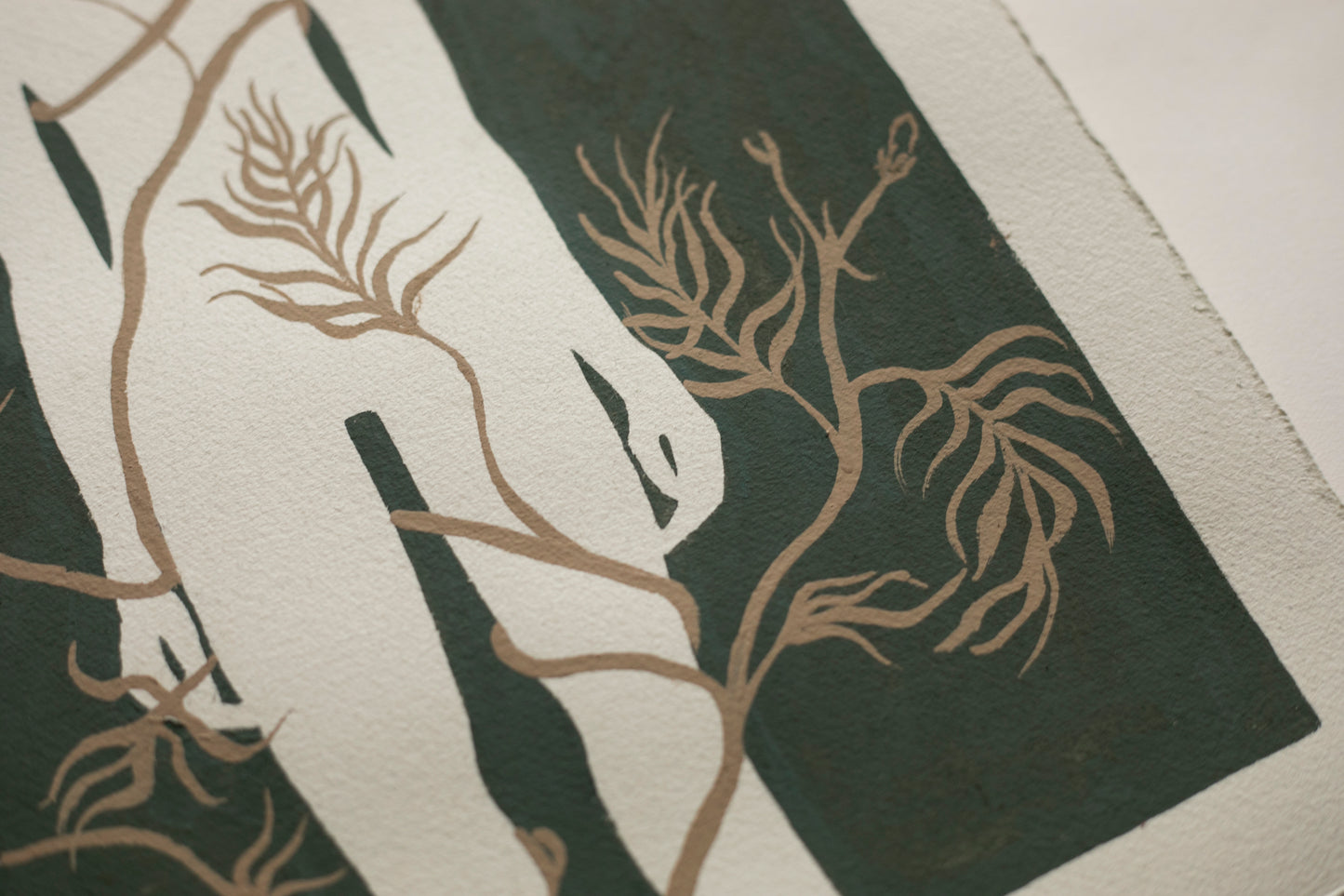 Katarzyna Wójtowicz - Oplątane