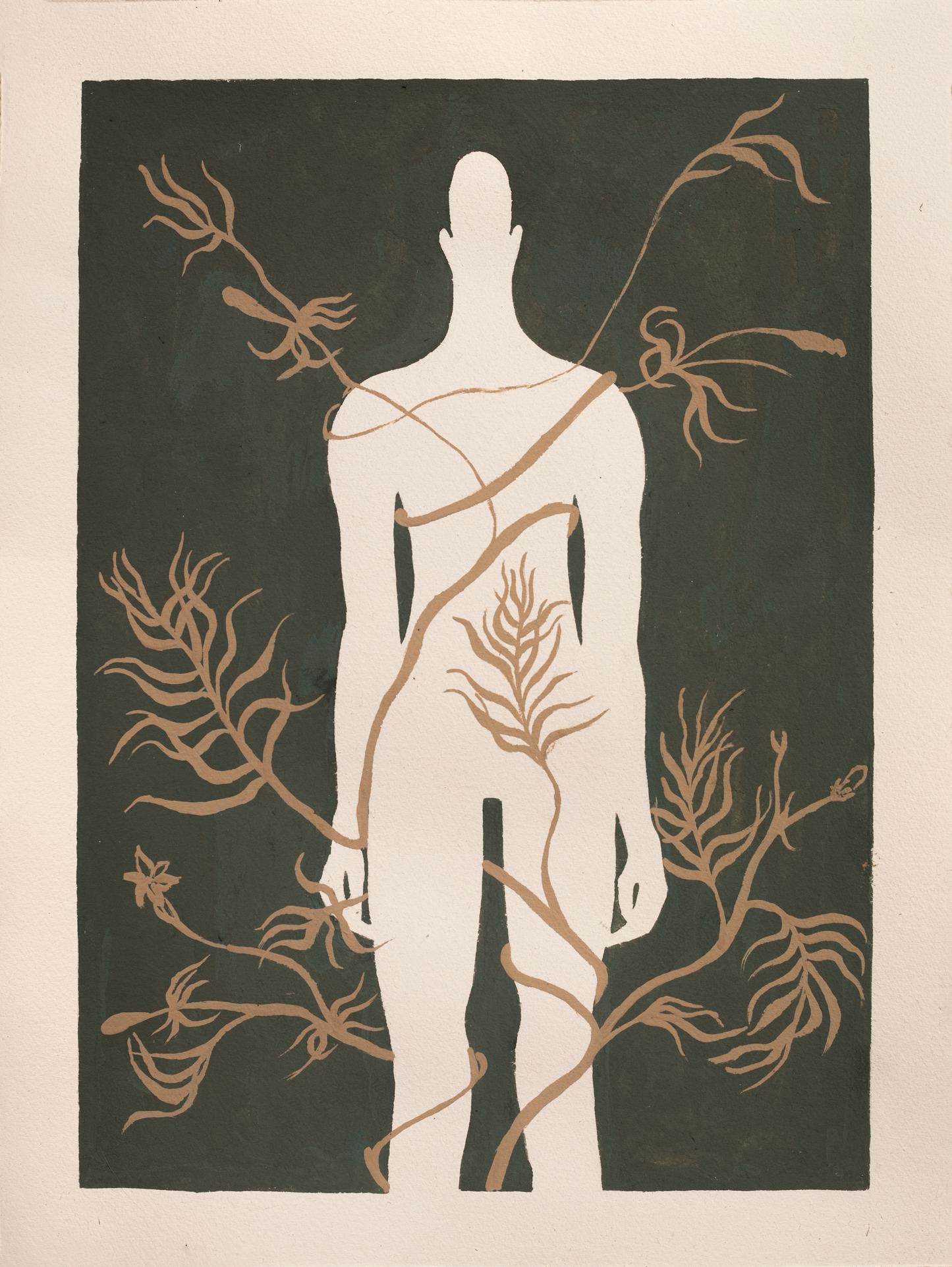 Katarzyna Wójtowicz - Oplątane