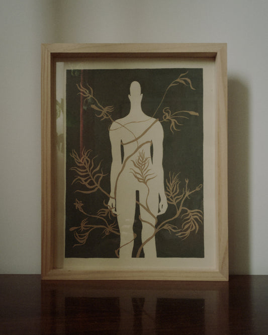 Katarzyna Wójtowicz - Oplątane