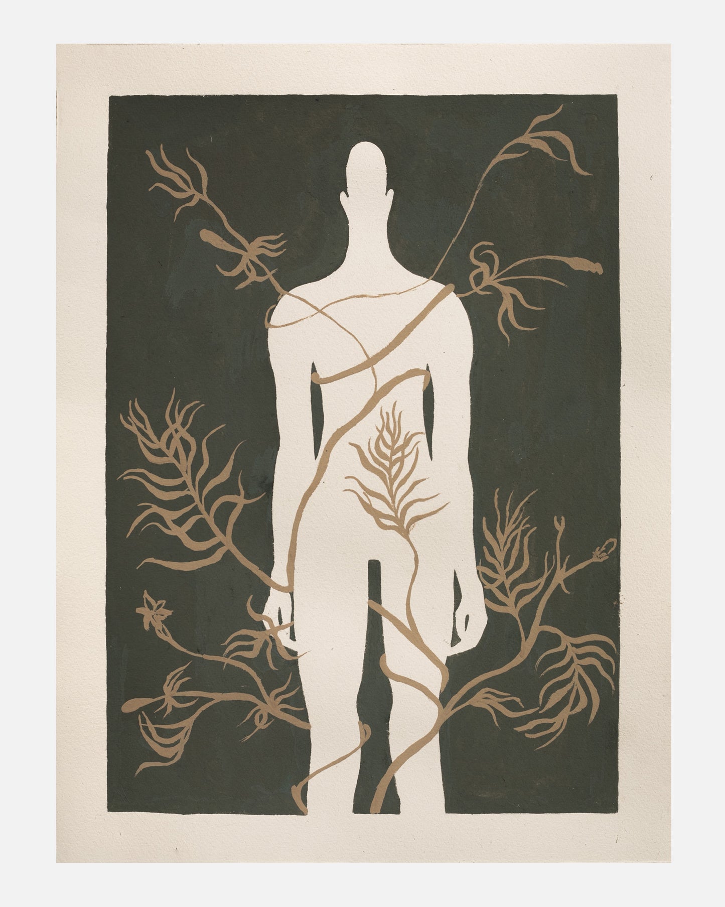 Katarzyna Wójtowicz - Oplątane