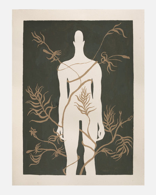 Katarzyna Wójtowicz - Oplątane